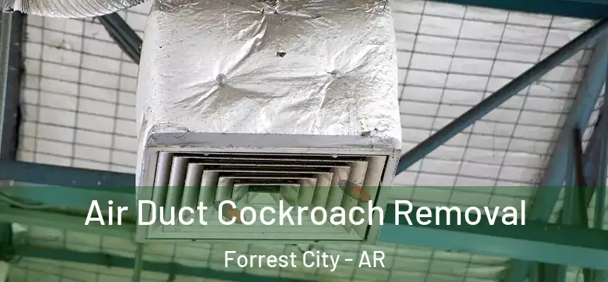  Air Duct Cockroach Removal Forrest City - AR