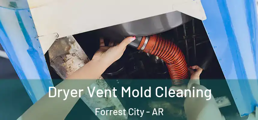  Dryer Vent Mold Cleaning Forrest City - AR