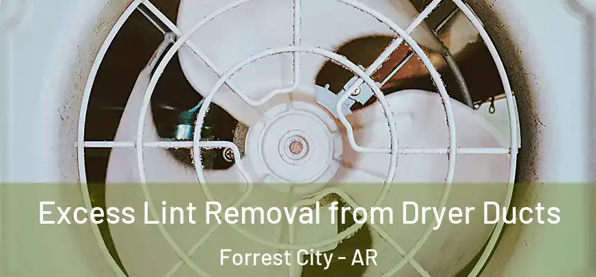  Excess Lint Removal from Dryer Ducts Forrest City - AR