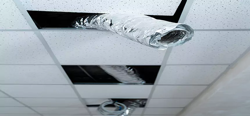 Affordable HVAC Sanitizing After Pest Removal in Forrest City