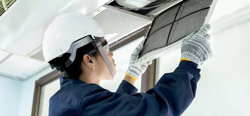 Our Mold & Mildew Removal from Air Ducts Services in Forrest City, AR