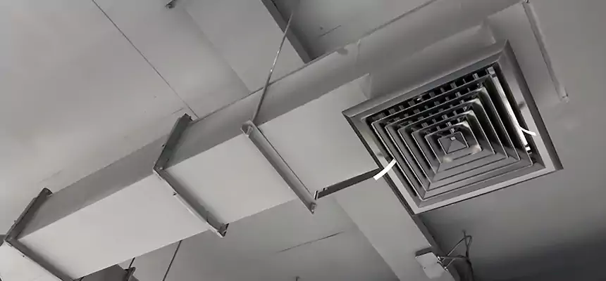 Our Rodent Droppings In Vents Services in Forrest City, AR