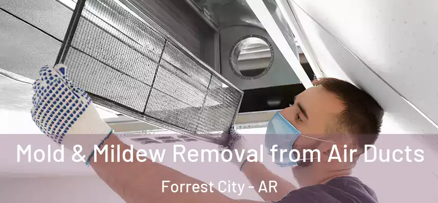  Mold & Mildew Removal from Air Ducts Forrest City - AR