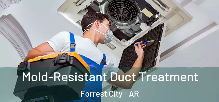  Mold-Resistant Duct Treatment Forrest City - AR