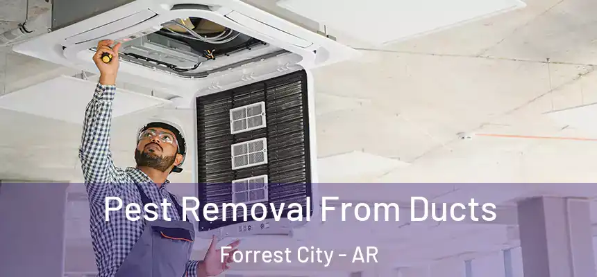  Pest Removal From Ducts Forrest City - AR