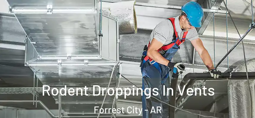  Rodent Droppings In Vents Forrest City - AR