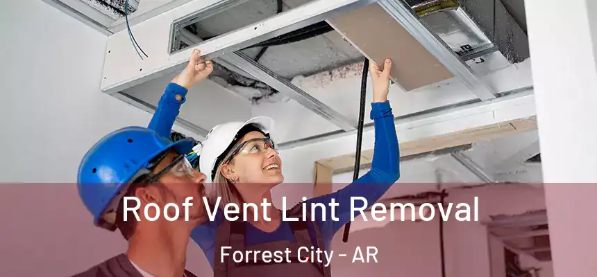  Roof Vent Lint Removal Forrest City - AR