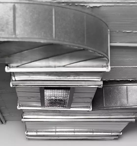 Professional Air Duct Pest Removal in Forrest City, AR