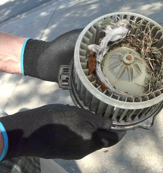 About Air Duct Rat Removal in Forrest City, AR