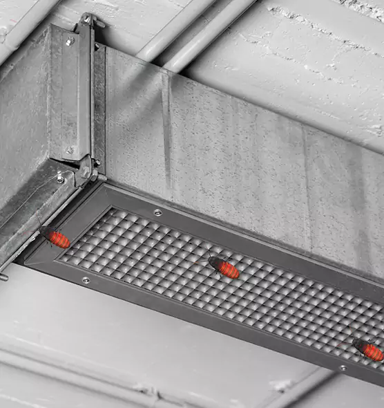 Affordable Insect Removal from Air Ducts in Forrest City, AR