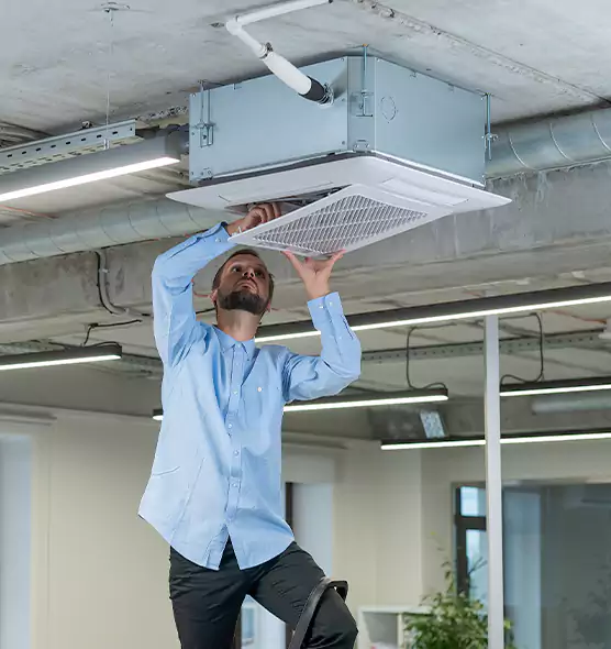 Advanced Rodent Droppings In Vents in Forrest City, AR
