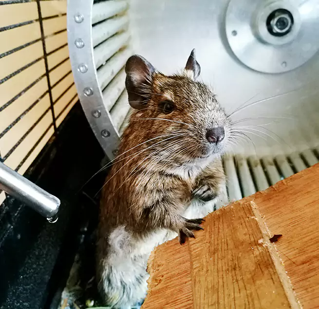 Why Homeowners & Businesses Trust Us Forrest City, AR?